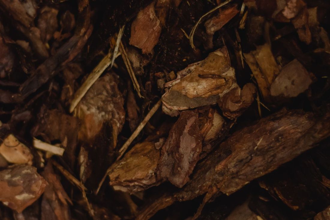 Hardwood mulch ready to spread